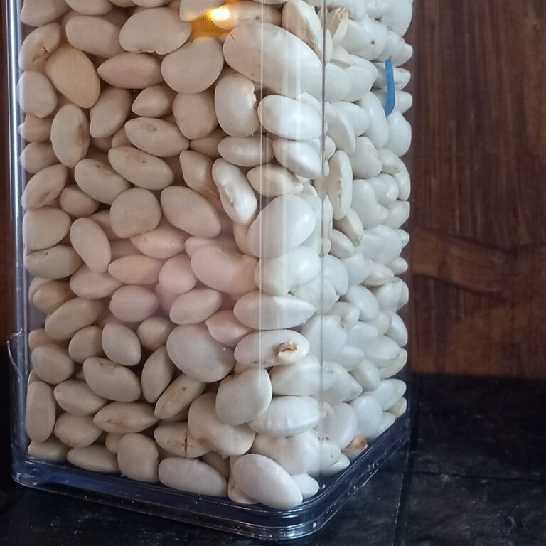 Fasola JAŚ karłowy 1kg (1)